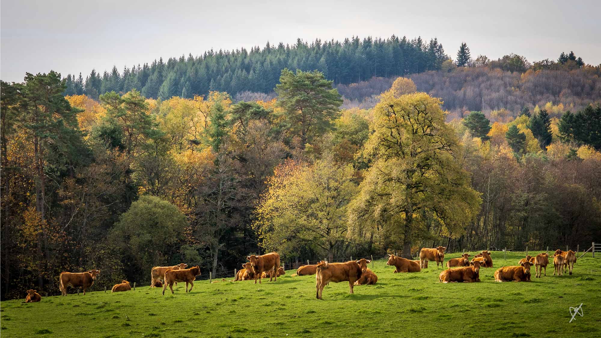 dk DSCF3454 HDR 20251112 automne
