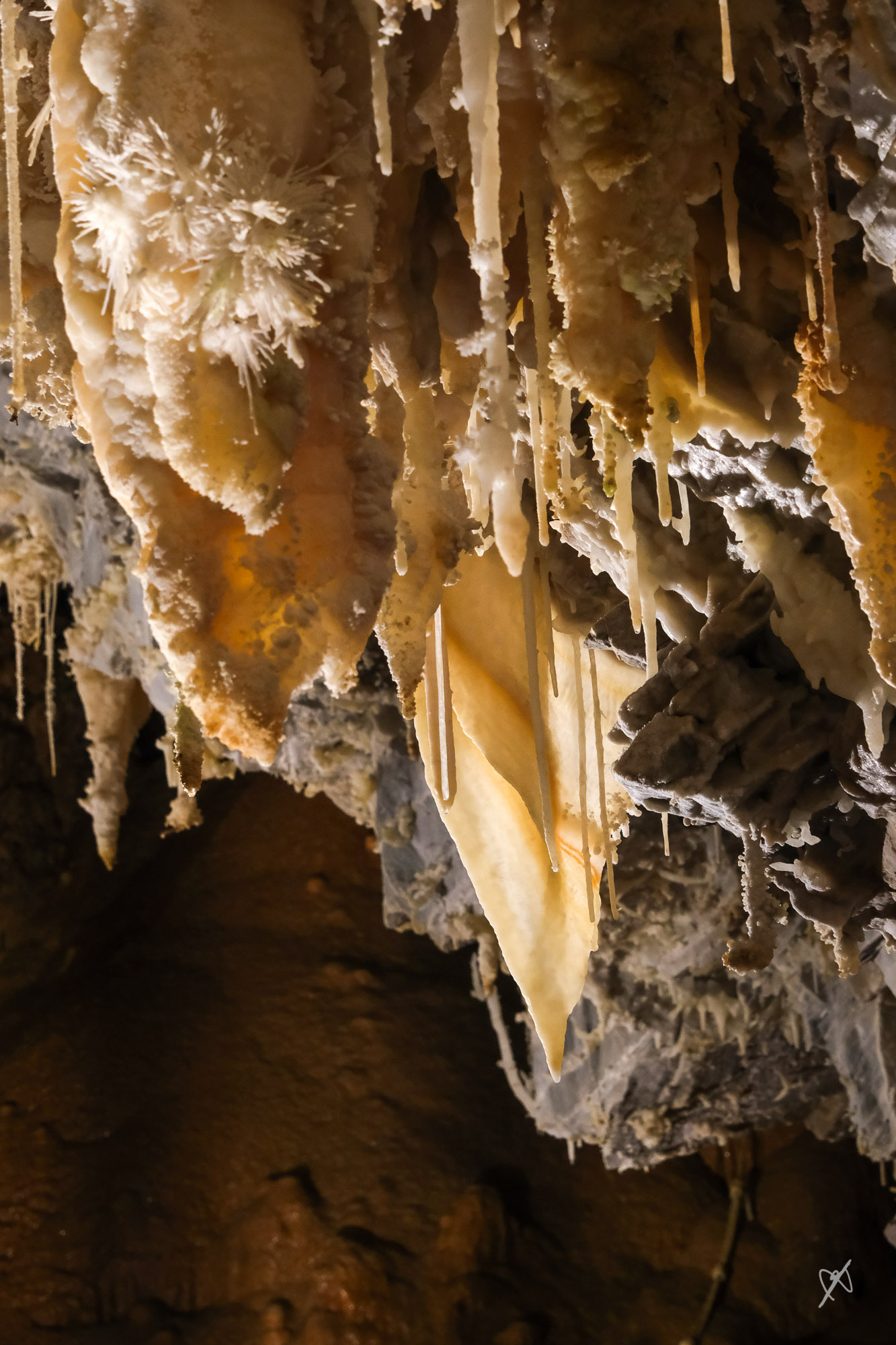 dk DSCF4146 20261014 grotte