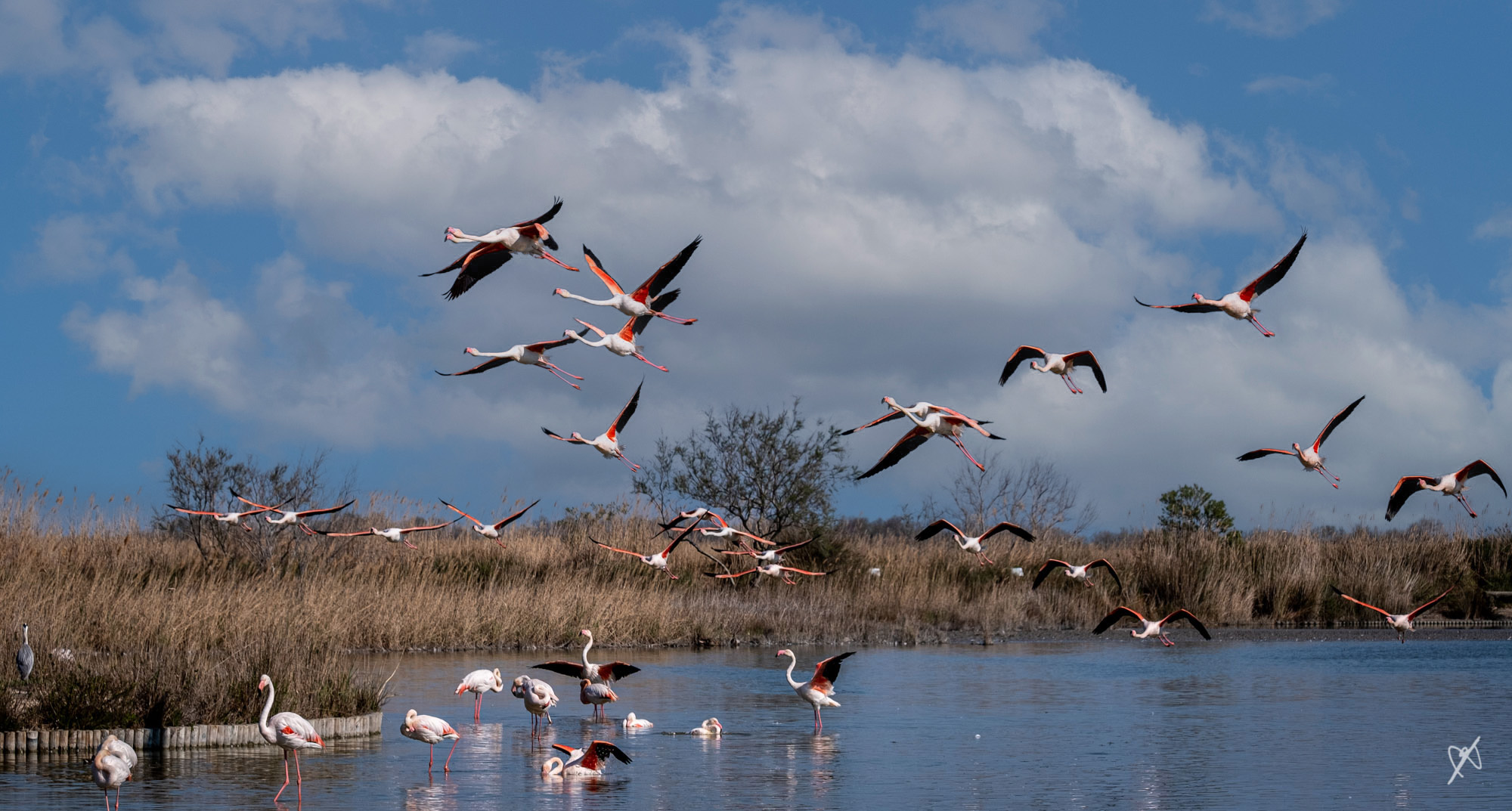 dk 20220404 1852 camargue sky