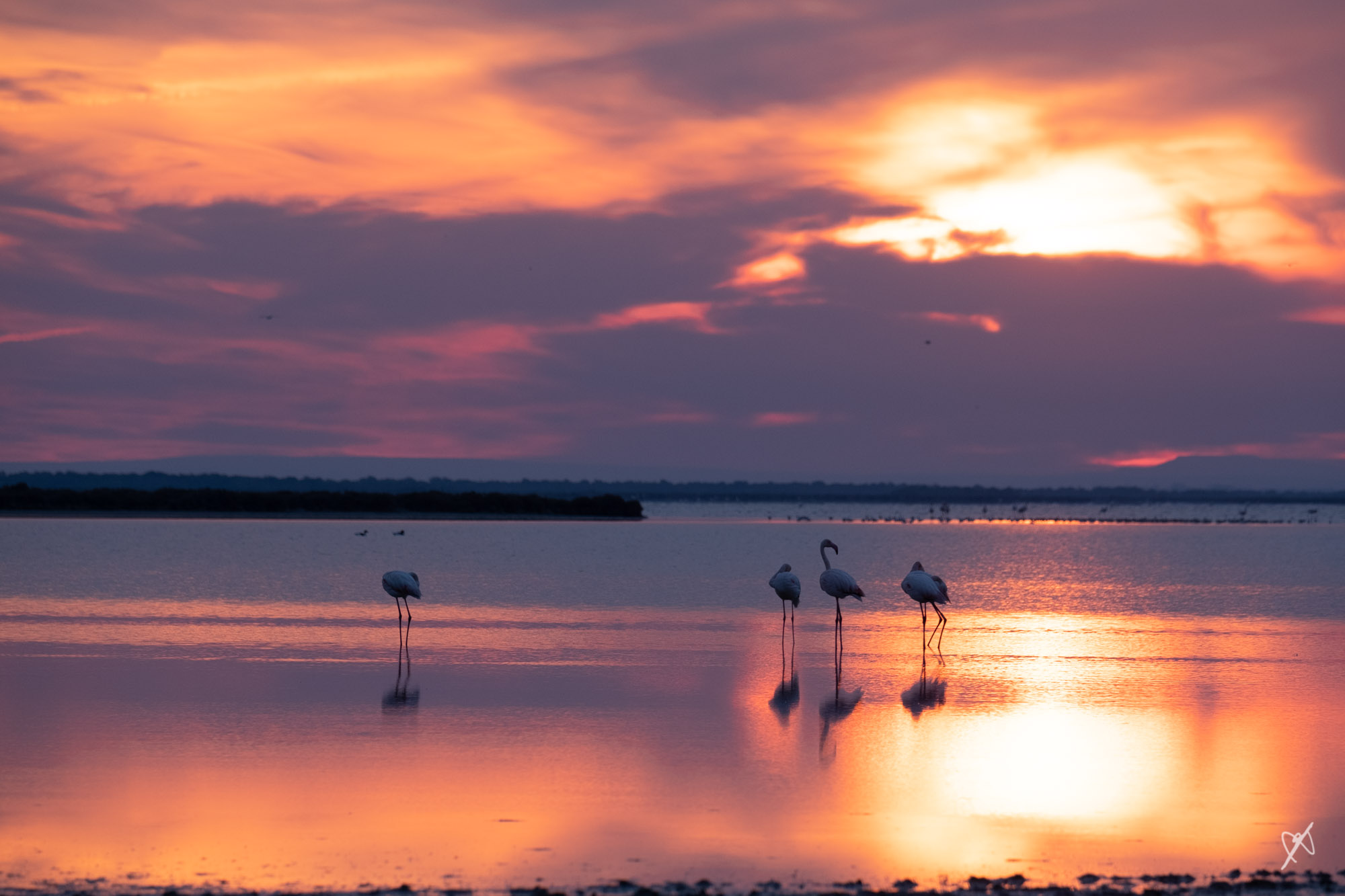 dk 20220406 2544 sunrise