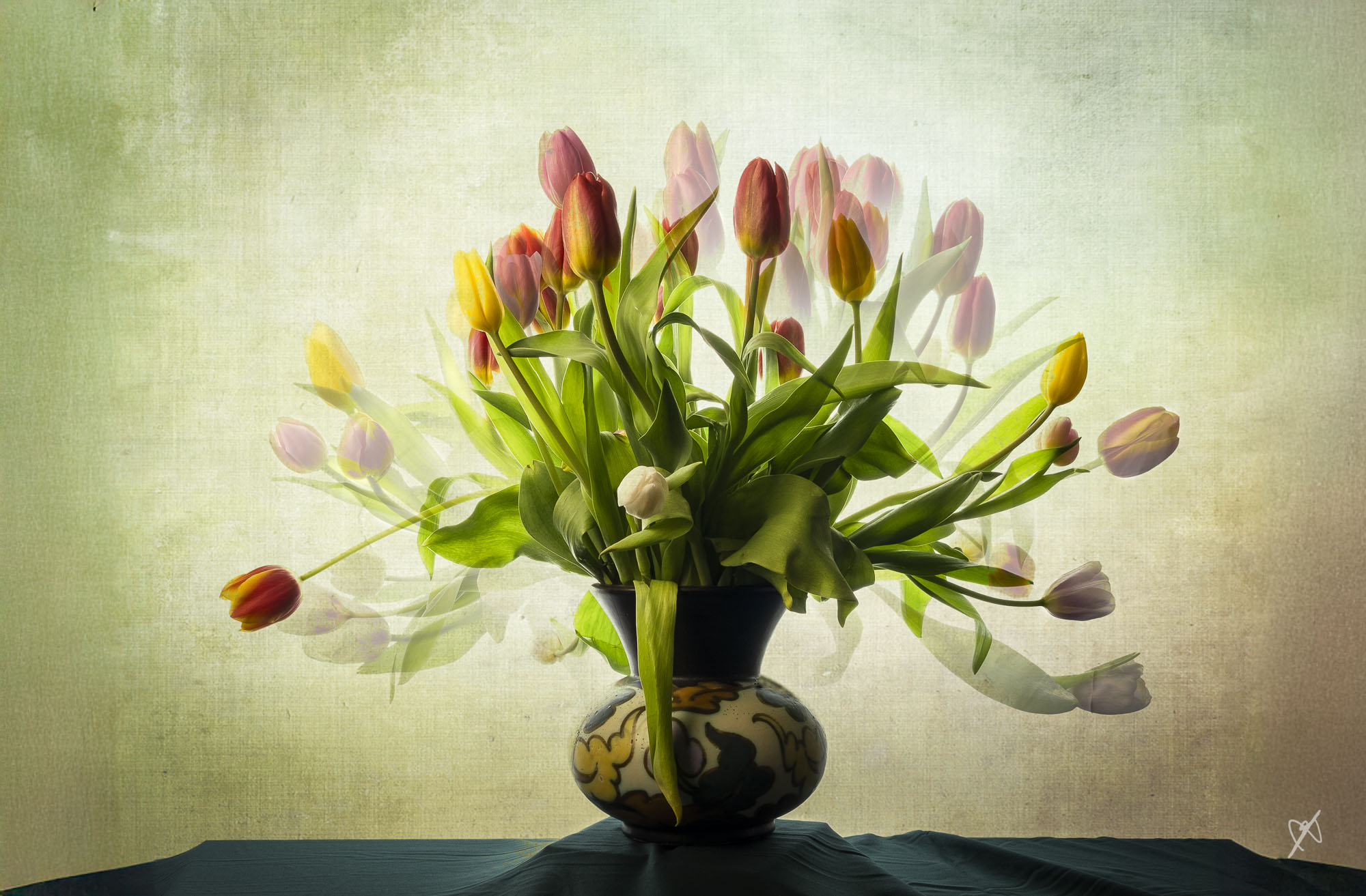 dk stamp layer3 Modifier 3x2 Modifier 20240429 tulips